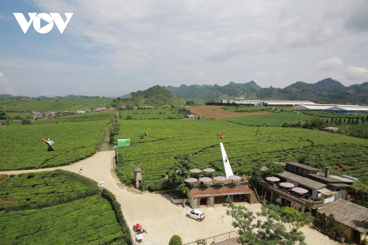 moc chau lan 3 duoc vinh danh Diem den thien nhien khu vuc hang dau the gioi hinh anh 2
