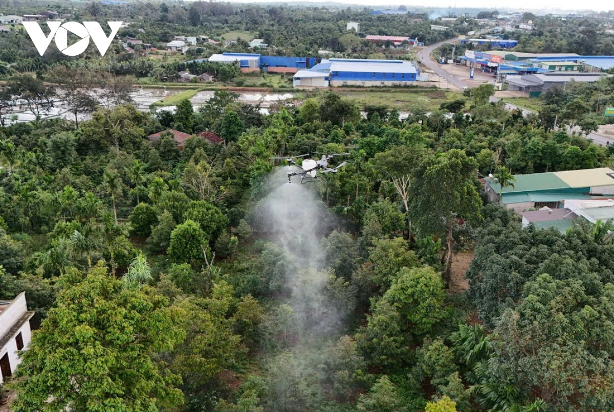 nông dân tây nguyên sử dụng drone chăm sóc cây trồng hình ảnh 1 nong dan tay nguyen su dung drone cham soc cay trong hinh anh 1