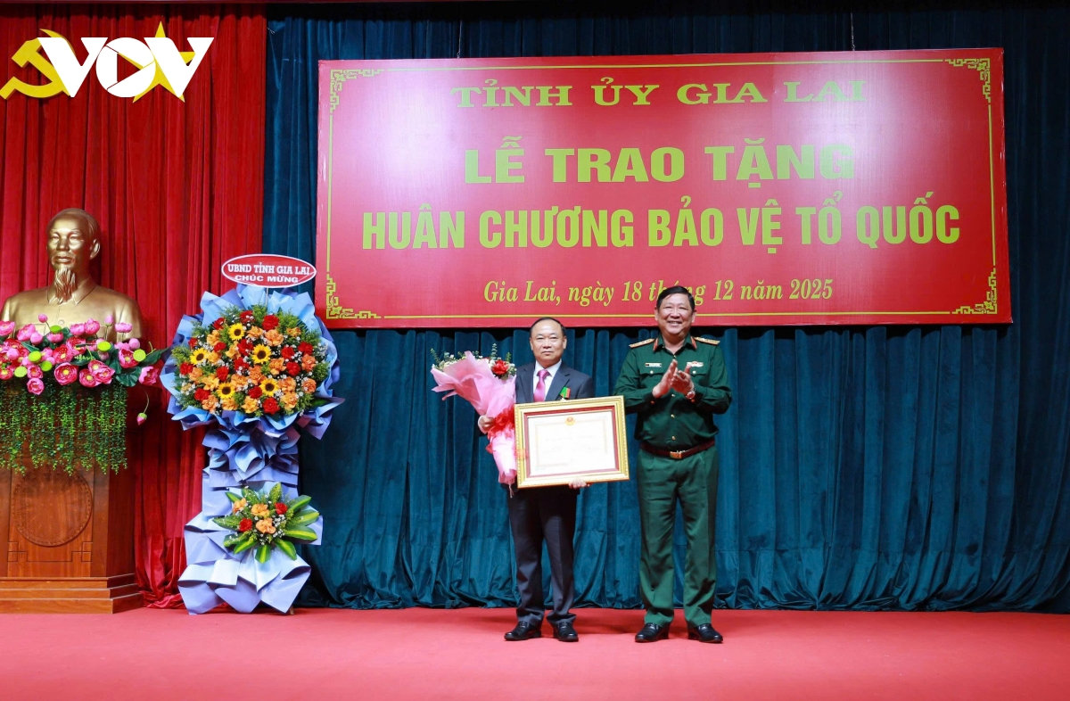 bi thu tinh uy gia lai duoc trao tang huan chuong bao ve to quoc hang ba hinh anh 1