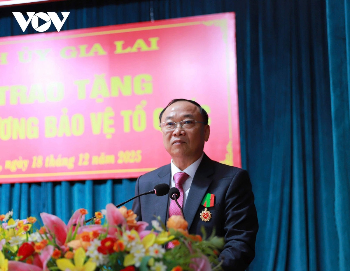 bi thu tinh uy gia lai duoc trao tang huan chuong bao ve to quoc hang ba hinh anh 2