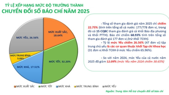 Dai tieng noi viet nam dat xuat sac chuyen doi so bao chi hinh anh 1