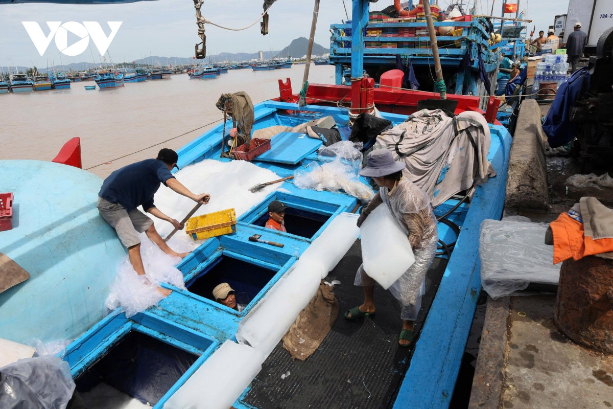 bão tan, lũ rút, ngư dân Đắk lắk ra khơi vụ cá bắc, đẩy mạnh chống khai thác iuu hình ảnh 1 bao tan, lu rut, ngu dan Dak lak ra khoi vu ca bac, day manh chong khai thac iuu hinh anh 1