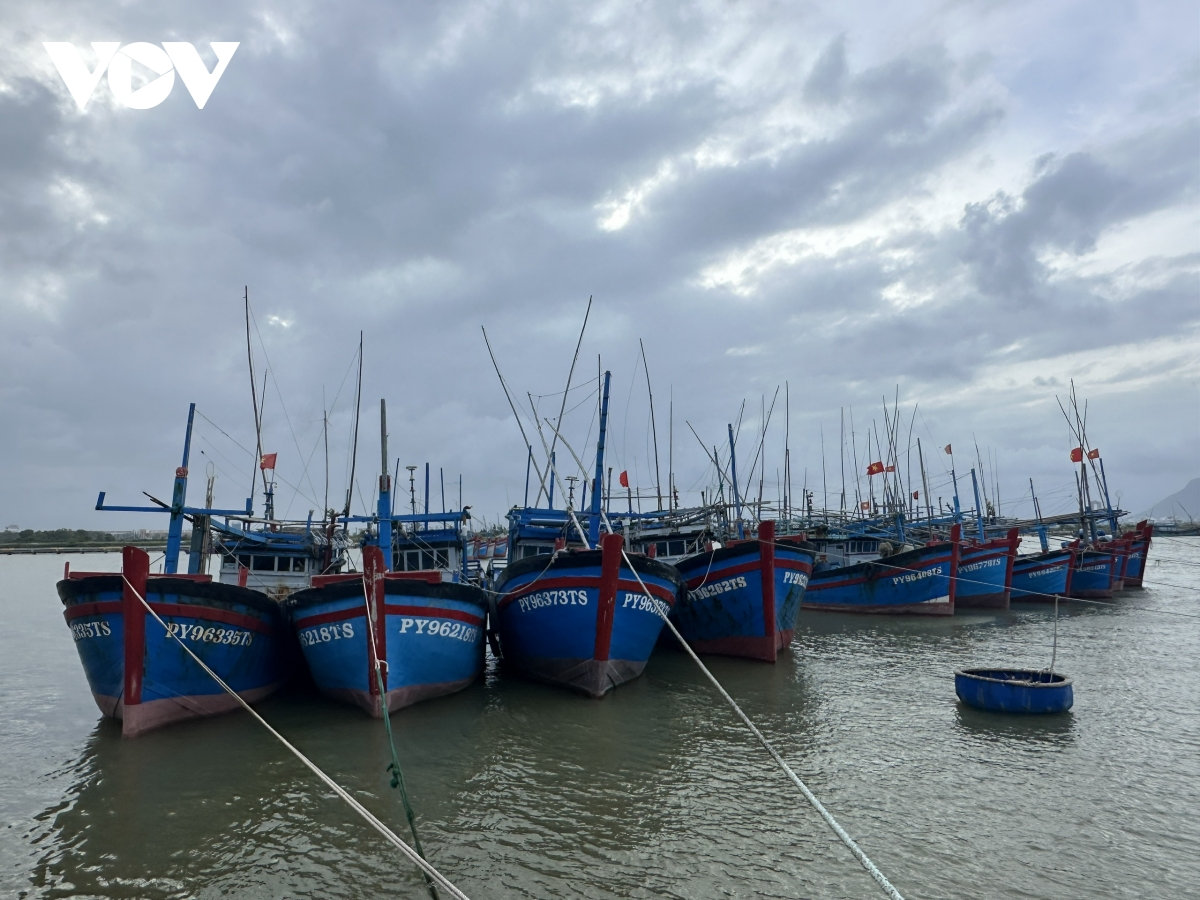 bão tan, lũ rút, ngư dân Đắk lắk ra khơi vụ cá bắc, đẩy mạnh chống khai thác iuu hình ảnh 4 bao tan, lu rut, ngu dan Dak lak ra khoi vu ca bac, day manh chong khai thac iuu hinh anh 4