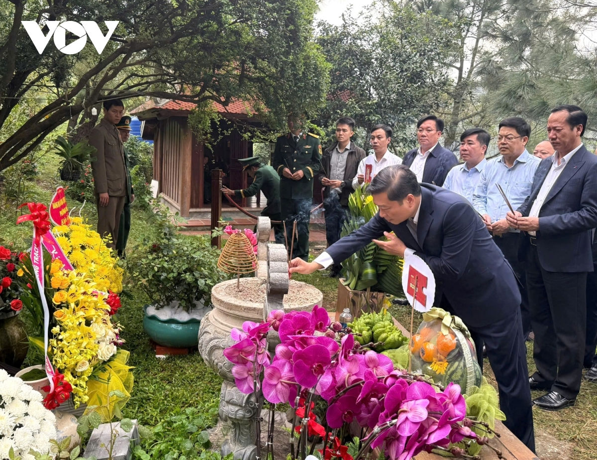 dang huong tuong nho Dai tuong vo nguyen giap hinh anh 1