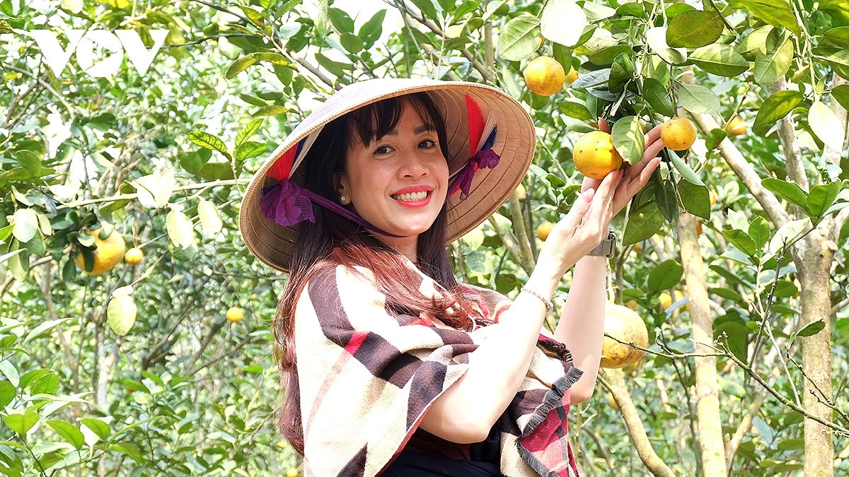 khu di tích quốc gia đặc biệt chùa hương hướng tới mục tiêu du lịch 4 mùa hình ảnh 12 khu di tich quoc gia dac biet chua huong huong toi muc tieu du lich 4 mua hinh anh 12