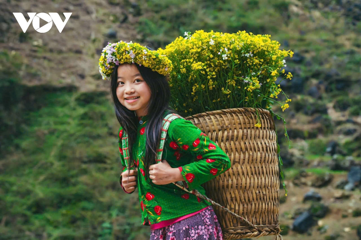 ha giang ban tinh ca tren da va nhung mua xuan khong tuoi hinh anh 11