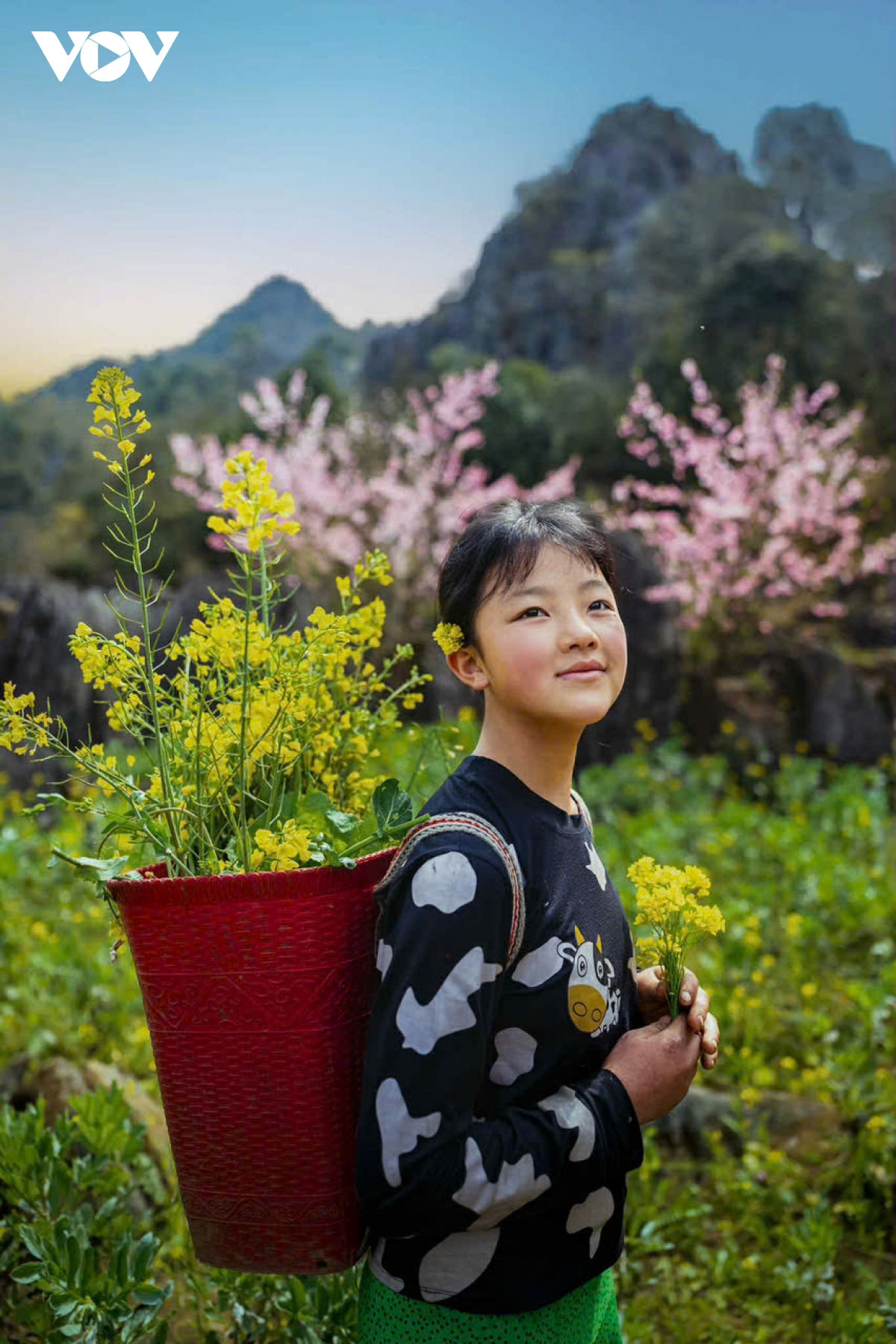 ha giang ban tinh ca tren da va nhung mua xuan khong tuoi hinh anh 15