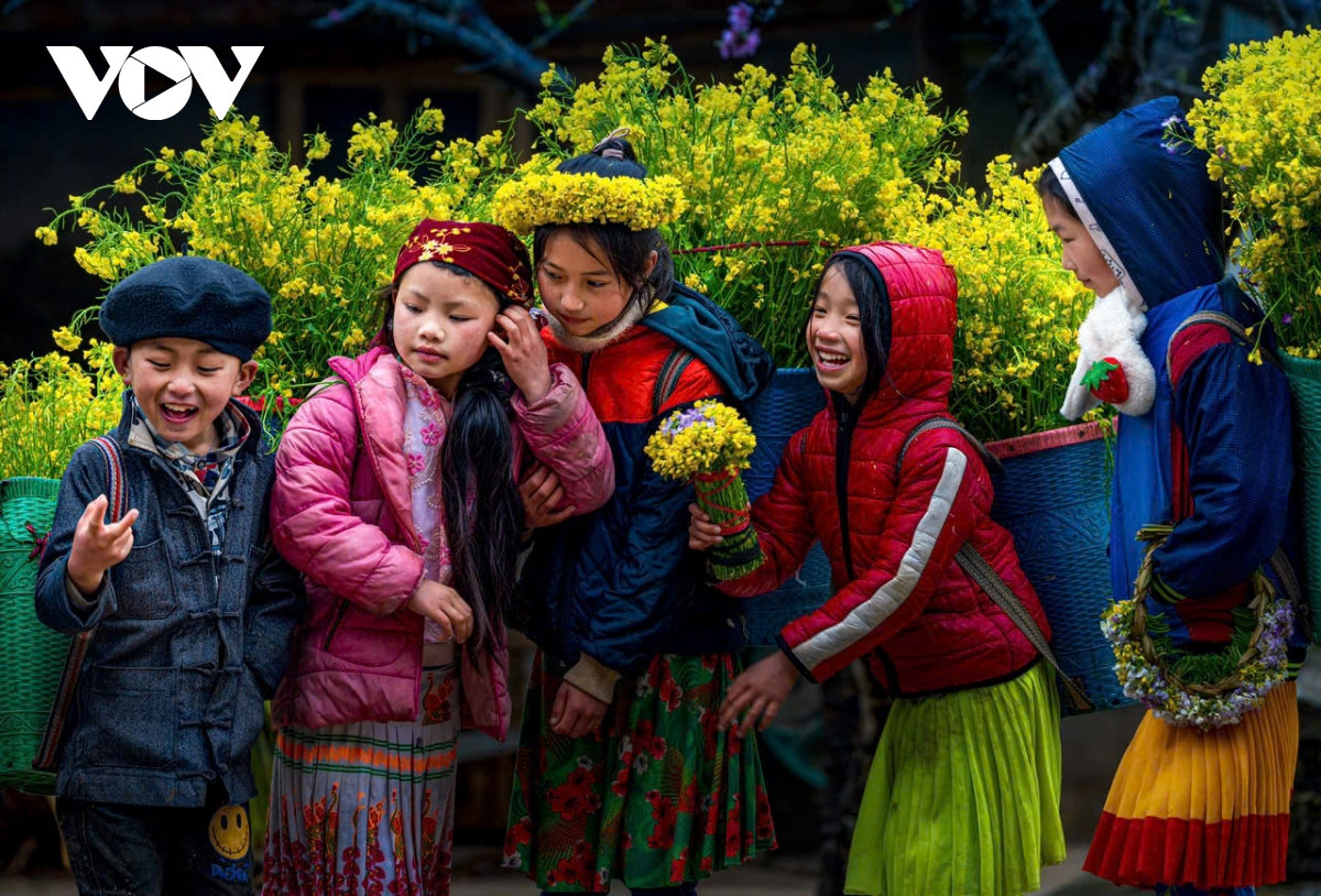 ha giang ban tinh ca tren da va nhung mua xuan khong tuoi hinh anh 2