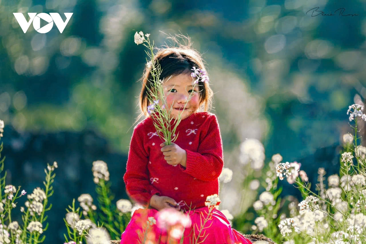 ha giang ban tinh ca tren da va nhung mua xuan khong tuoi hinh anh 3