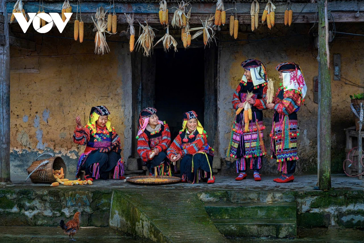 ha giang ban tinh ca tren da va nhung mua xuan khong tuoi hinh anh 5