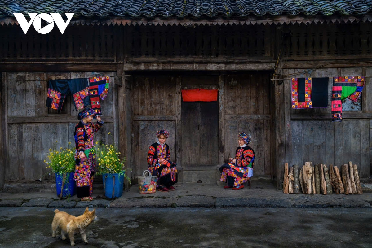 ha giang ban tinh ca tren da va nhung mua xuan khong tuoi hinh anh 8