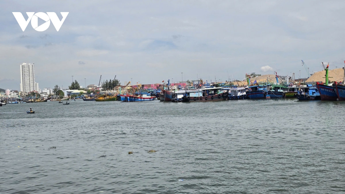 ngu dan gia lai chuyen doi so de minh bach nghe ca, huong toi go the vang iuu hinh anh 3