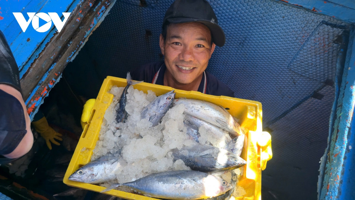 ngu dan gia lai chuyen doi so de minh bach nghe ca, huong toi go the vang iuu hinh anh 2