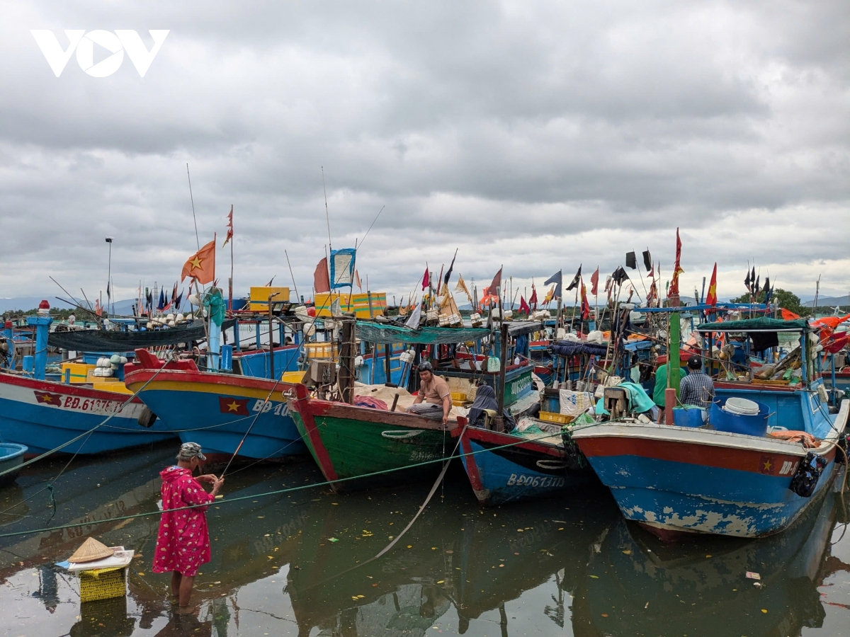 ngu dan gia lai chuyen doi so de minh bach nghe ca, huong toi go the vang iuu hinh anh 1