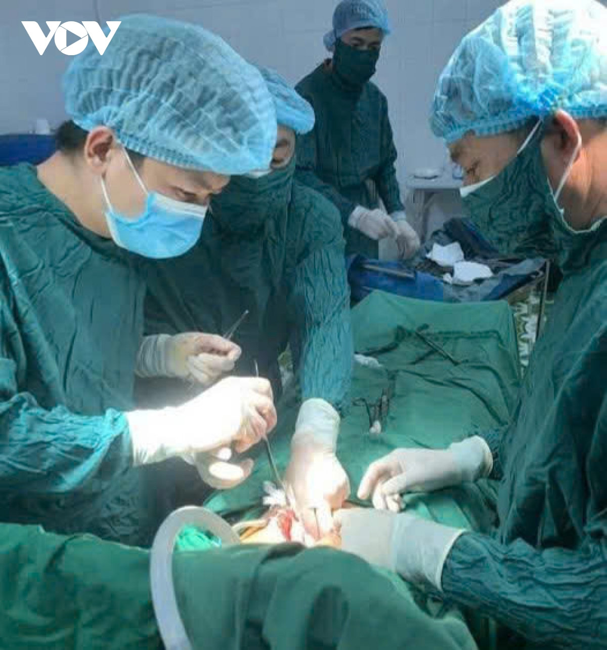 cap cuu benh nhan thung tang rong khi dang lao dong gan dao bach long vi hinh anh 1