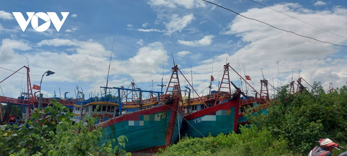Dong thap ho tro ngu dan chuyen doi nghe muc cao nhat den 350 trieu dong tau ca hinh anh 1