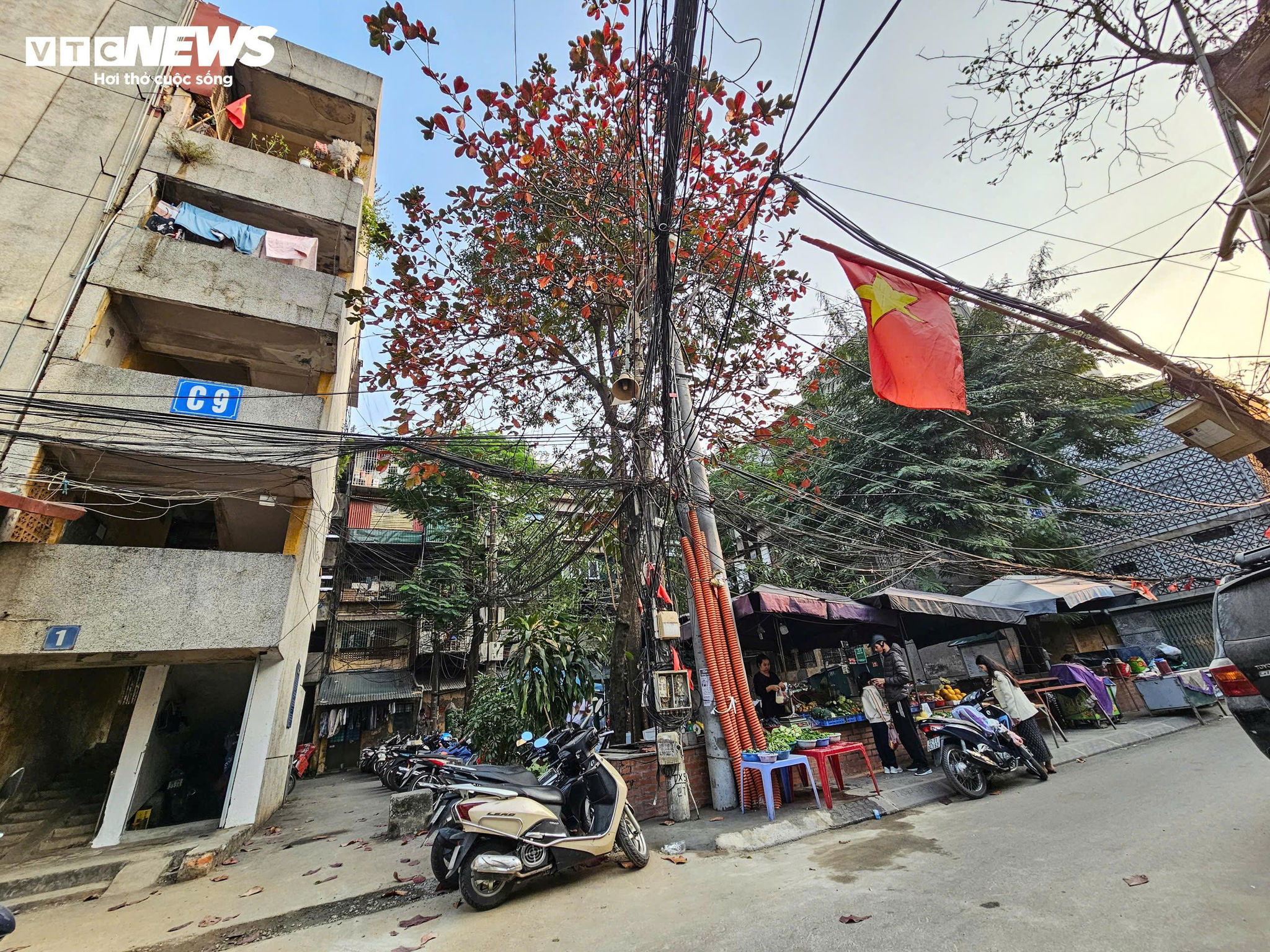 Chợ cóc chủ yếu xuất hiện tại các khu tập thể cũ, khu dân cư đông đúc, đáp ứng thói quen mua sắm tiện lợi, gần nhà của người dân, song cũng đặt ra bài toán về trật tự đô thị và an toàn sinh hoạt chung.