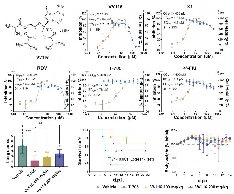 trung quốc phát hiện thuốc covid-19 chống virus nipah hiệu quả hình ảnh 1 trung quoc phat hien thuoc covid-19 chong virus nipah hieu qua hinh anh 1