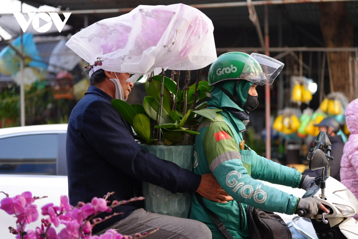 giap tet lan dao tien trieu, xe om nin tho tren tung chuyen xe muu sinh hinh anh 3