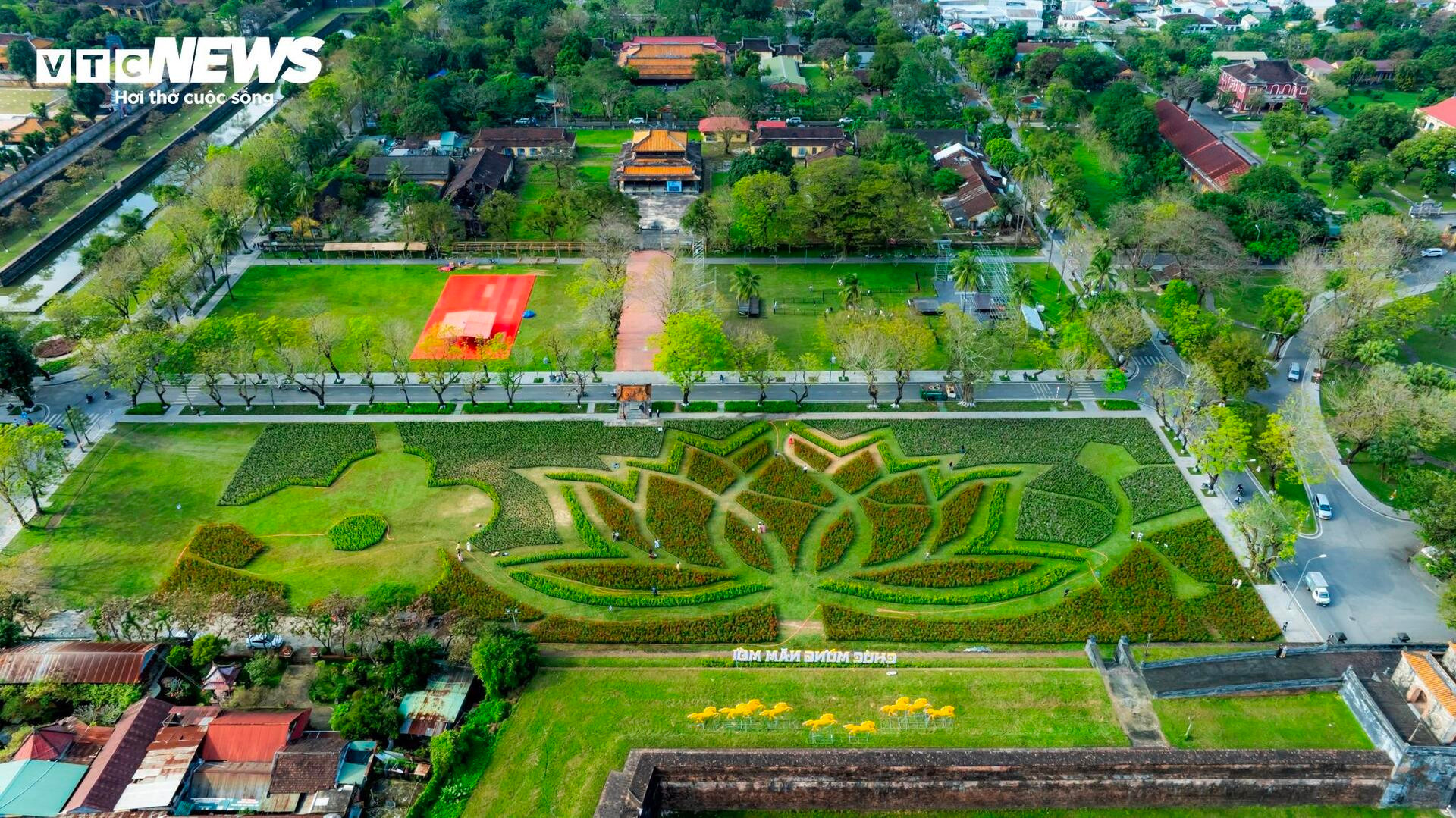 Đoá sen khổng lồ trong Kinh thành Huế và linh vật ngựa hút khách dịp cận Tết - 2