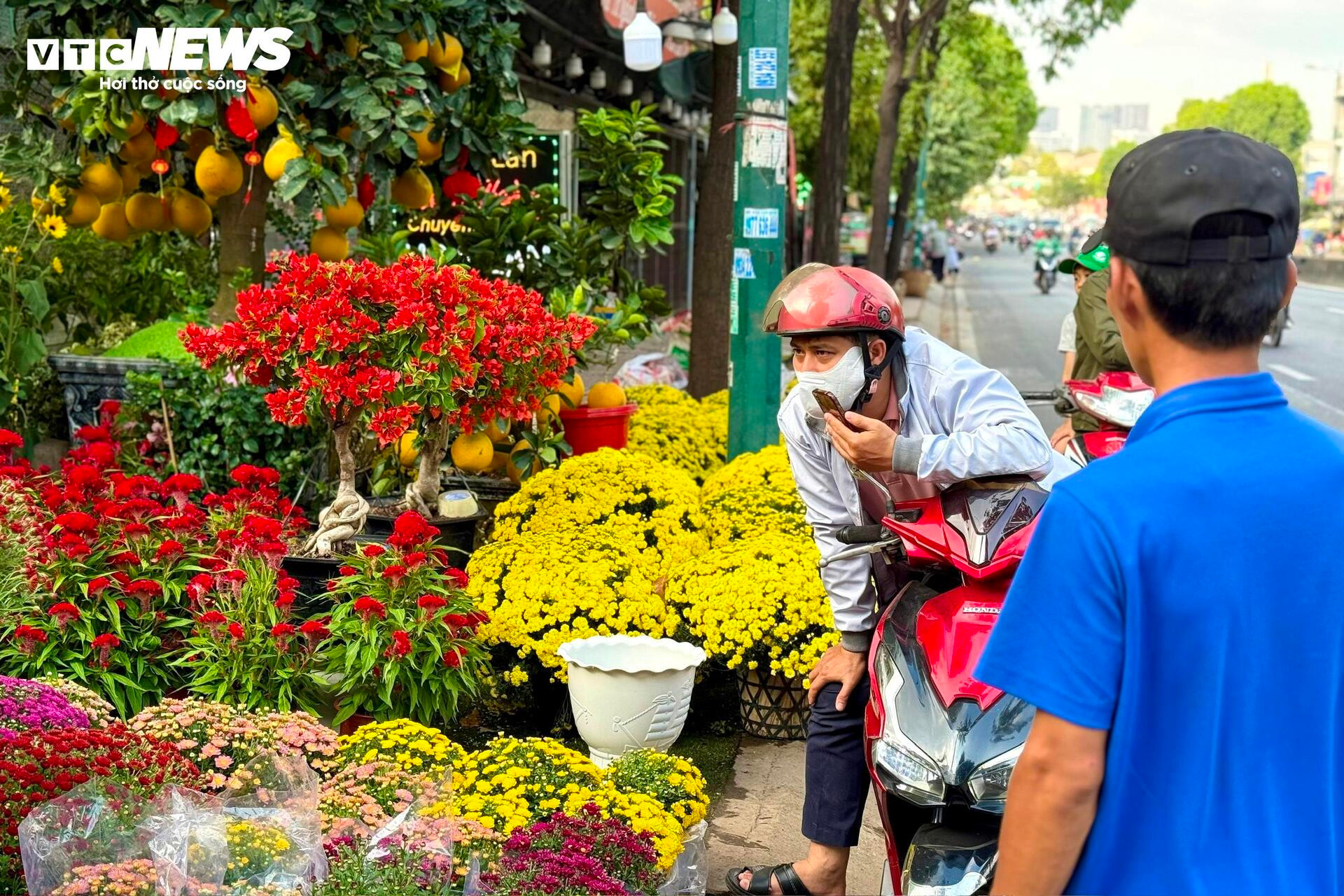 Hoa Tết TP.HCM bán chạy, nhiều nhà vườn 'cháy' hàng sớm - 2