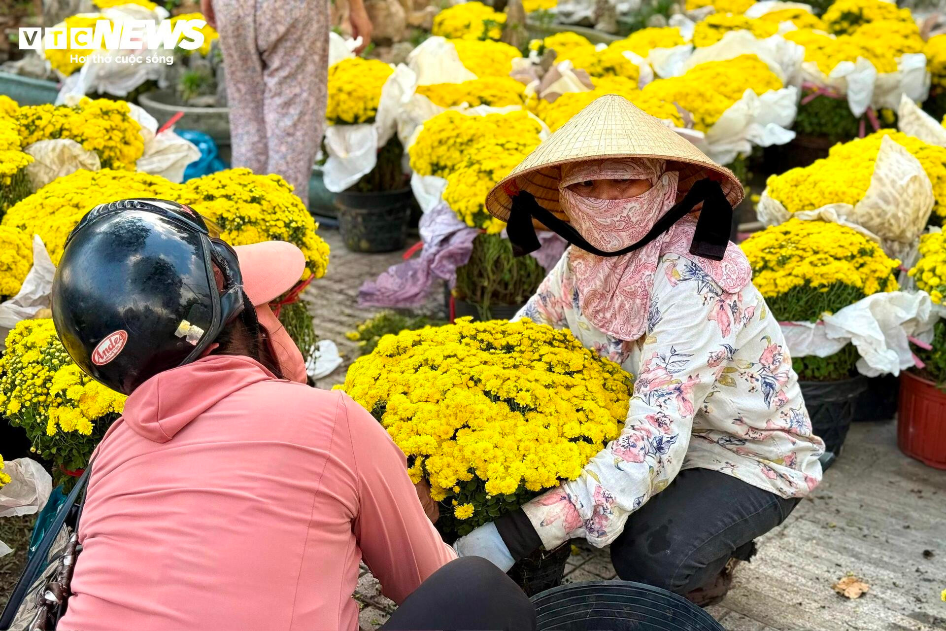 Hoa Tết TP.HCM bán chạy, nhiều nhà vườn 'cháy' hàng sớm - 4