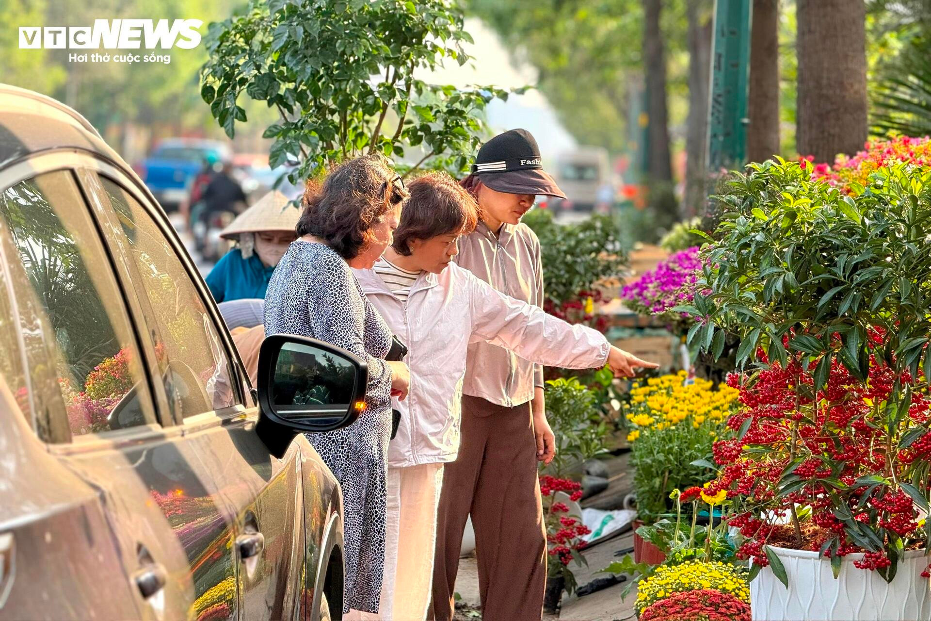 Hoa Tết TP.HCM bán chạy, nhiều nhà vườn 'cháy' hàng sớm - 19
