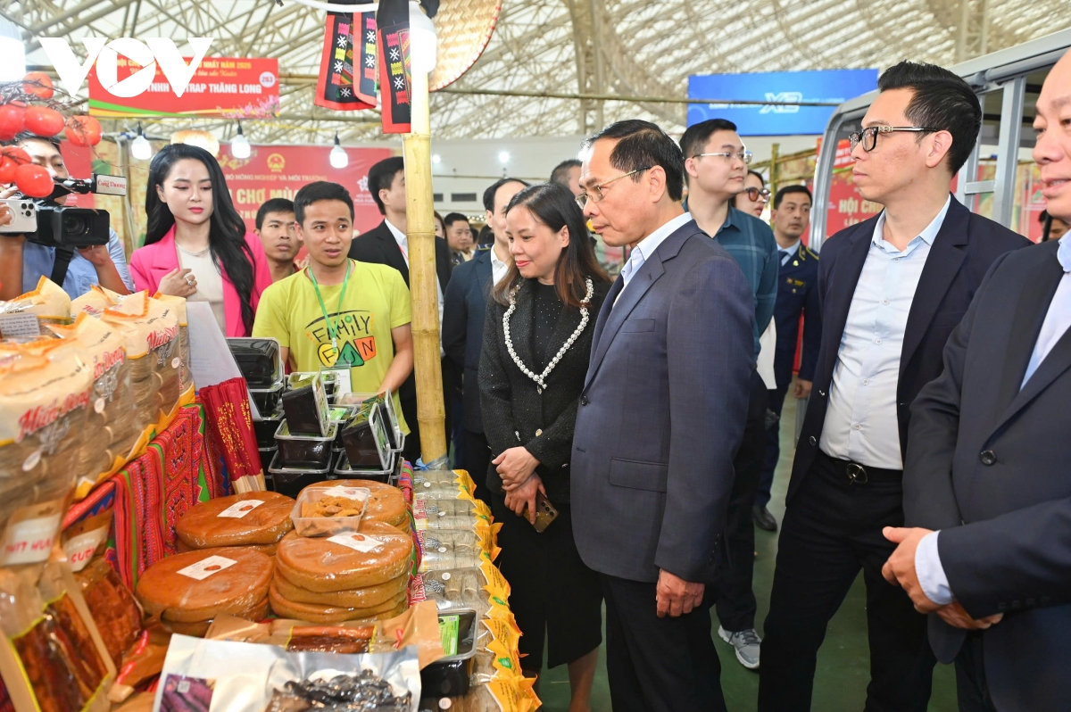 pho thu tuong bui thanh son kiem tra tinh hinh trien khai hoi cho mua xuan 2026 hinh anh 4
