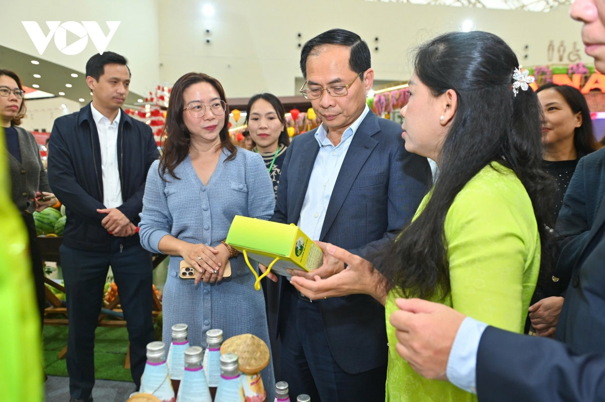 pho thu tuong bui thanh son kiem tra tinh hinh trien khai hoi cho mua xuan 2026 hinh anh 3