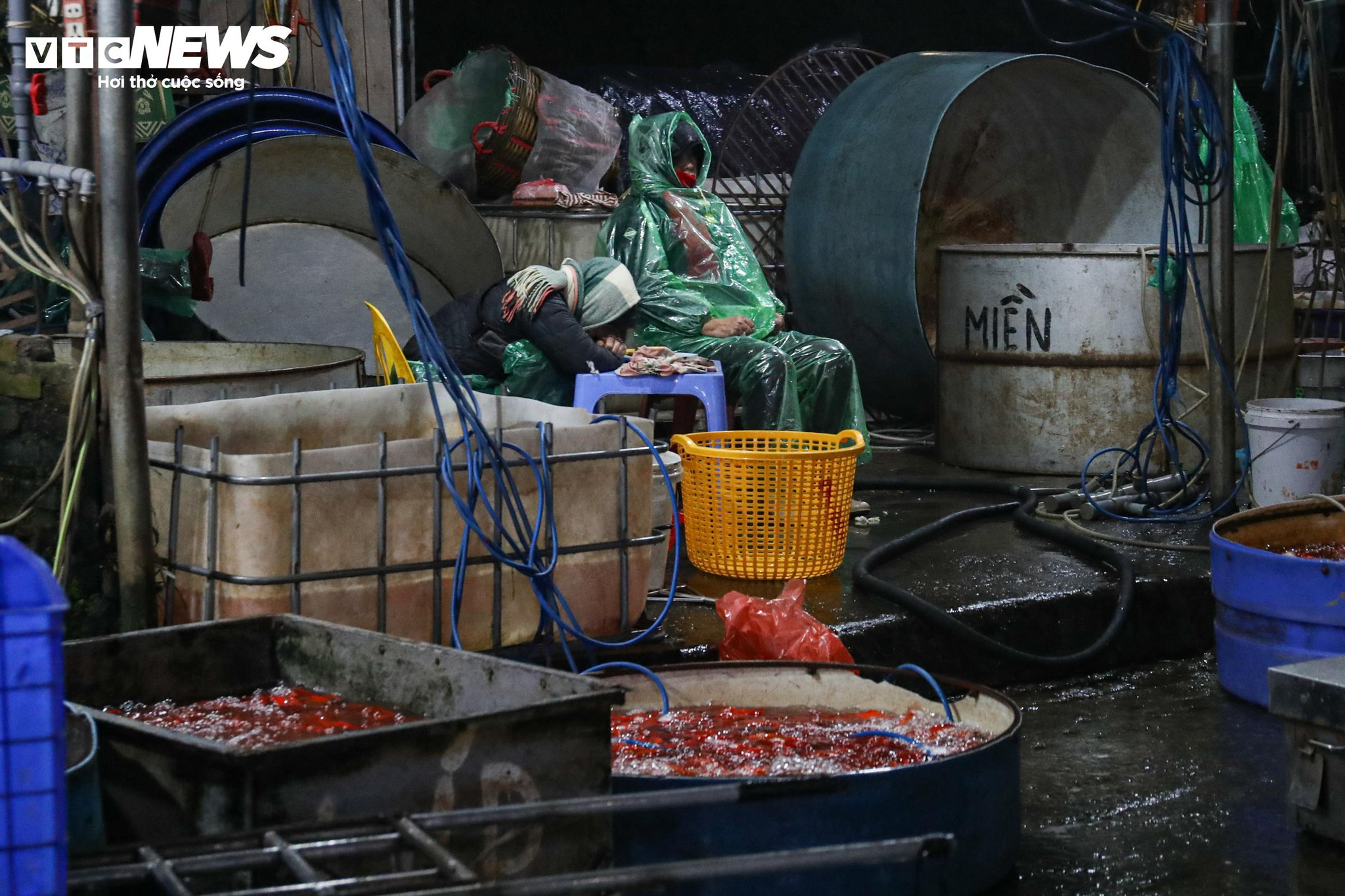 Nhiều tiểu thương mệt mỏi ngủ gục bên quầy, chờ người mua.