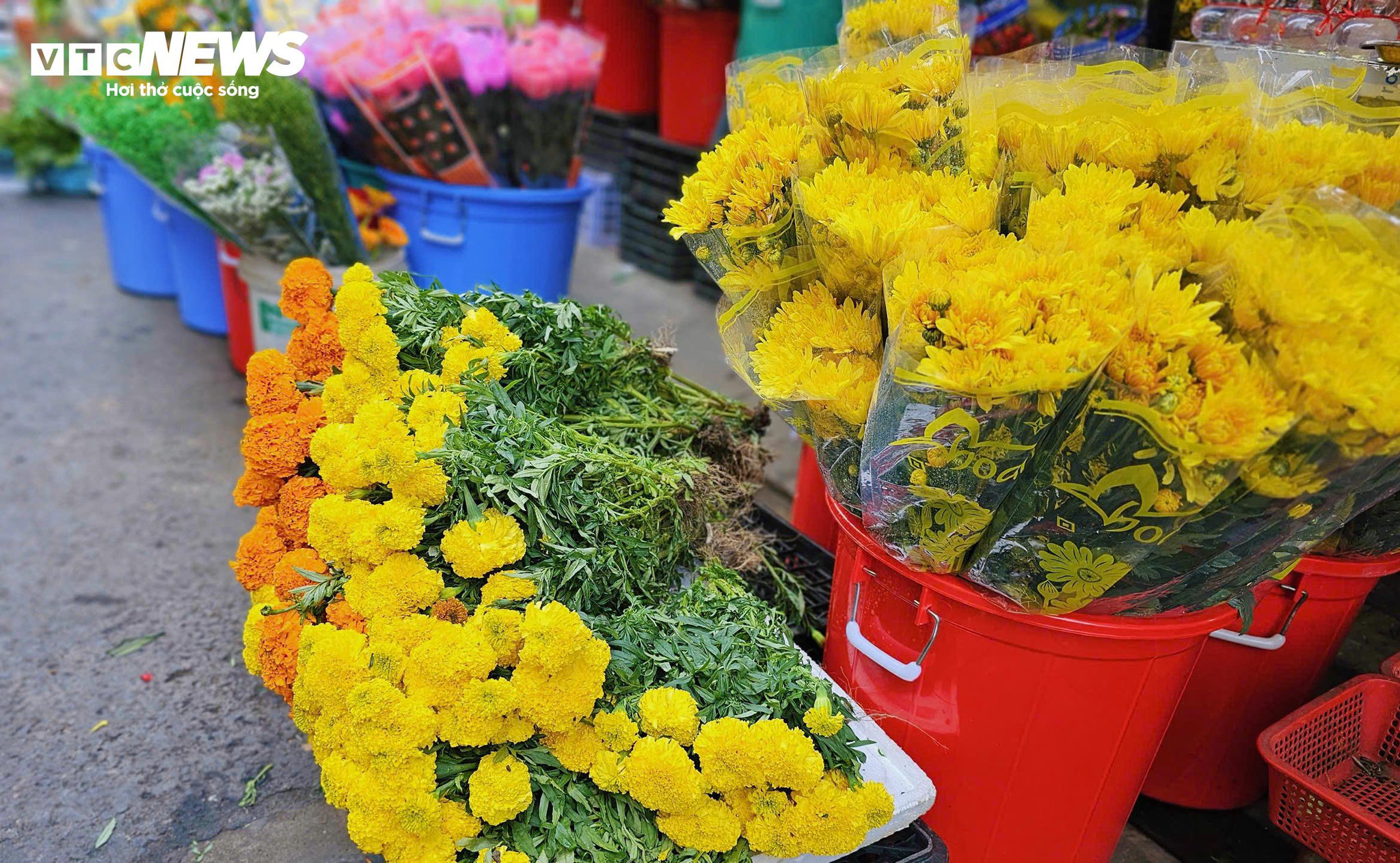 Thị trường hoa tươi phục vụ lễ cúng ông Công ông Táo năm nay khá ổn định nhờ thời tiết thuận lợi. Hoa vạn thọ có giá 15.000-20.000 đồng/cây, cúc 40.000-60.000 đồng/10 cành, lay ơn 80.000-120.000 đồng/10 cành, hoa ly 220.000-300.000 đồng/10 cành.