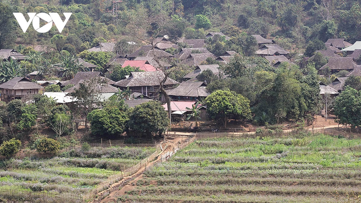 nhà sàn, nơi lưu giữ hồn người thái tây bắc hình ảnh 4 nha san, noi luu giu hon nguoi thai tay bac hinh anh 4