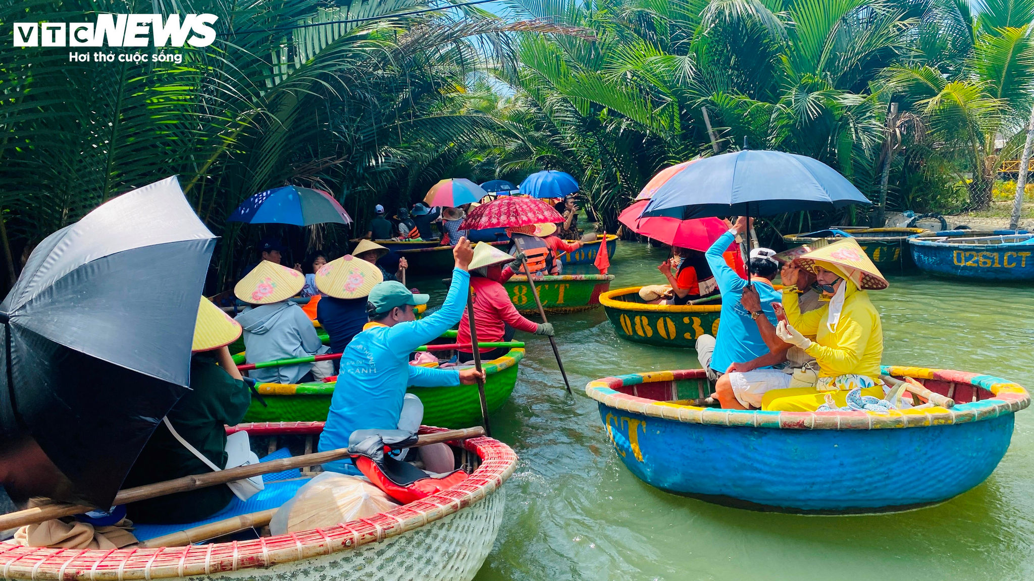 Thuyền thúng trở thành phương tiện đưa khách vào sâu bên trong rừng dừa, khám phá hệ sinh thái độc đáo.