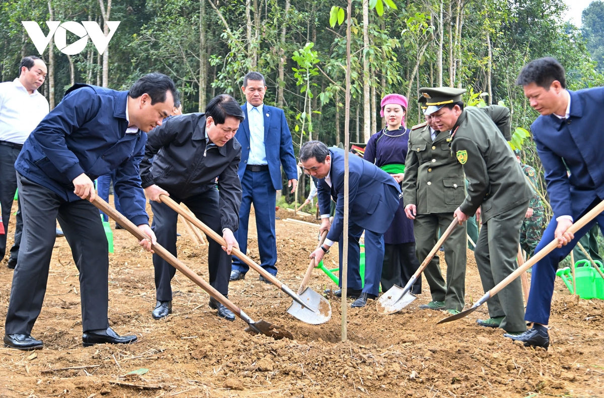 chu tich nuoc luong cuong du le phat dong tet trong cay doi doi nho on bac ho hinh anh 2