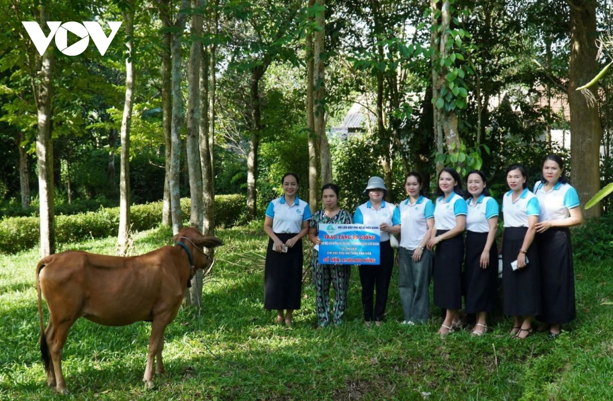  ngoi nha xanh cua phu nu quang tri bao ve moi truong, gay quy ho tro nguoi ngheo hinh anh 6