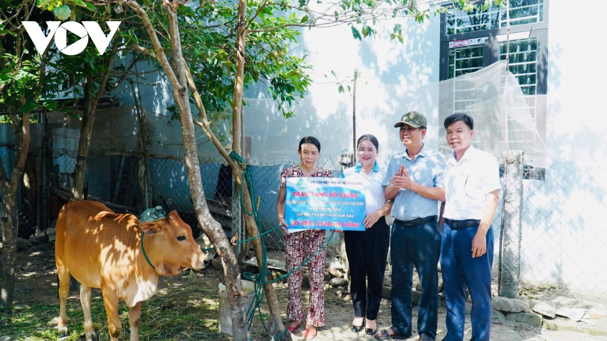  ngoi nha xanh cua phu nu quang tri bao ve moi truong, gay quy ho tro nguoi ngheo hinh anh 5