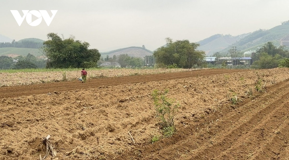 tàu hút cát hoạt động lén lút trên sông Âm, thanh hóa gây sạt lở đất canh tác hình ảnh 7 tau hut cat hoat dong len lut tren song Am, thanh hoa gay sat lo dat canh tac hinh anh 7