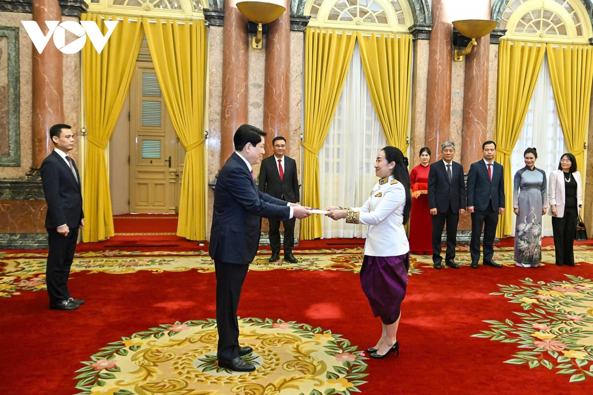 chu tich nuoc luong cuong tiep dai su cac nuoc trinh quoc thu hinh anh 1