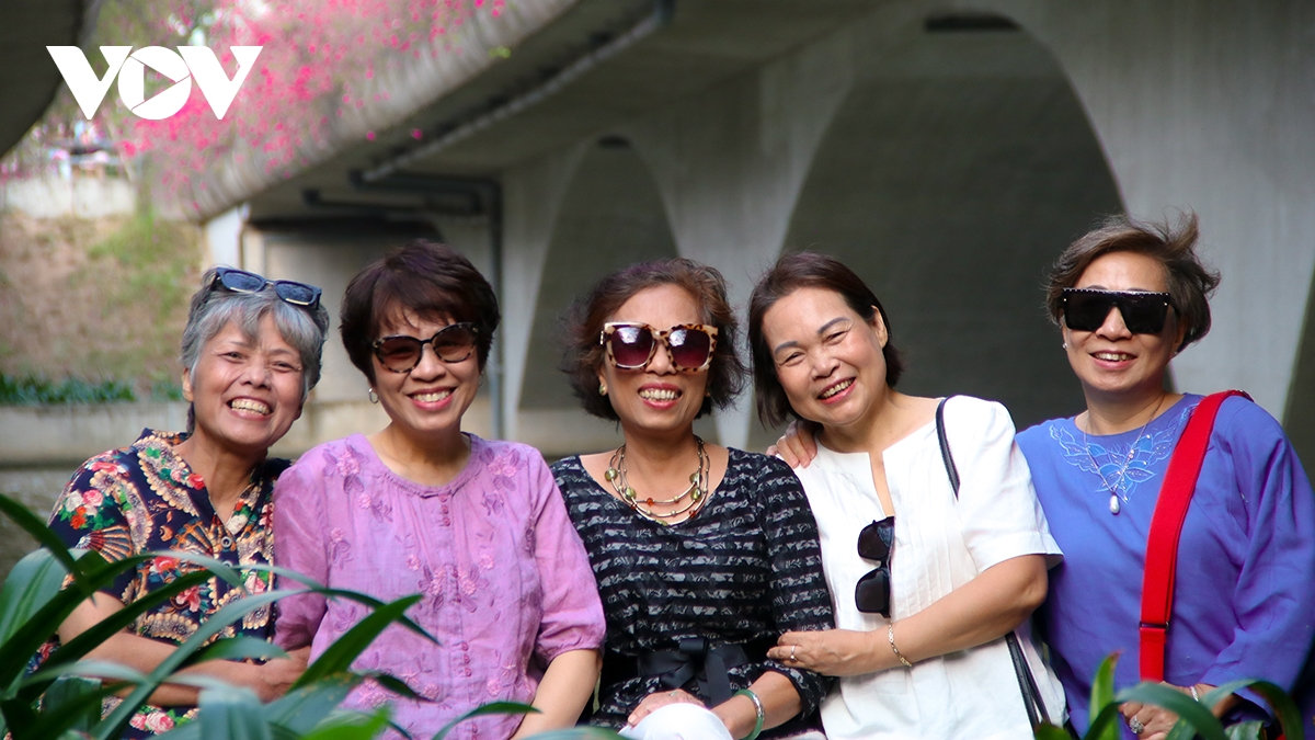 cau hoa giay dep nhu tranh hut gioi tre toi check-in cach ha noi chi 30km hinh anh 11