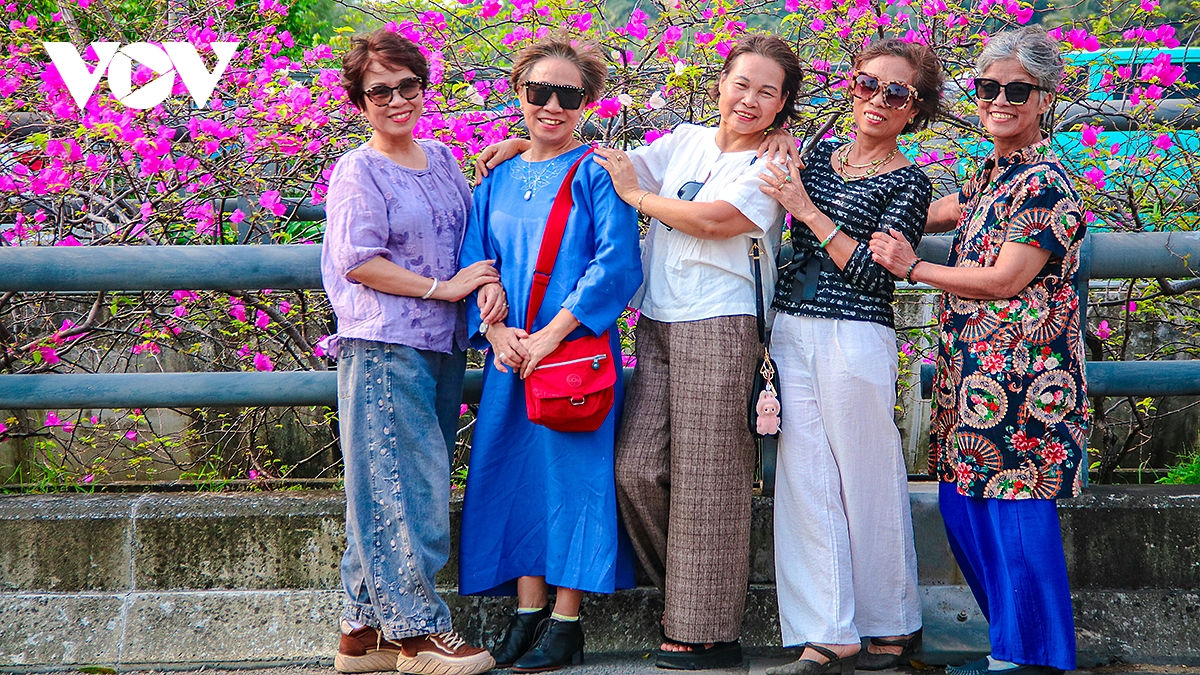 cau hoa giay dep nhu tranh hut gioi tre toi check-in cach ha noi chi 30km hinh anh 12