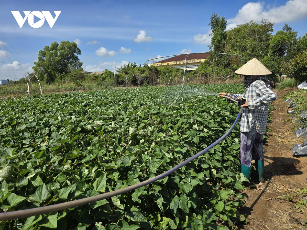 tìm giải pháp đảm bảo an ninh nguồn nước cho Đbscl trước biến đổi khí hậu hình ảnh 5 tim giai phap dam bao an ninh nguon nuoc cho Dbscl truoc bien doi khi hau hinh anh 5