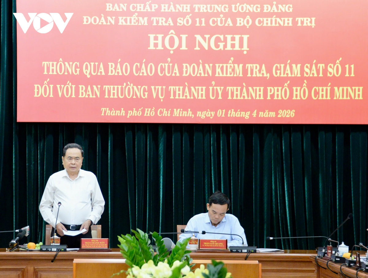 thong qua bao cao kiem tra, giam sat doi voi ban thuong vu thanh uy tp ho chi minh hinh anh 3
