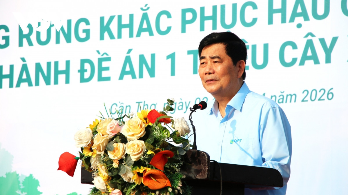 cần thơ phát động trồng 240.000 cây rừng, phục hồi hệ sinh thái ven biển hình ảnh 1 can tho phat dong trong 240.000 cay rung, phuc hoi he sinh thai ven bien hinh anh 1
