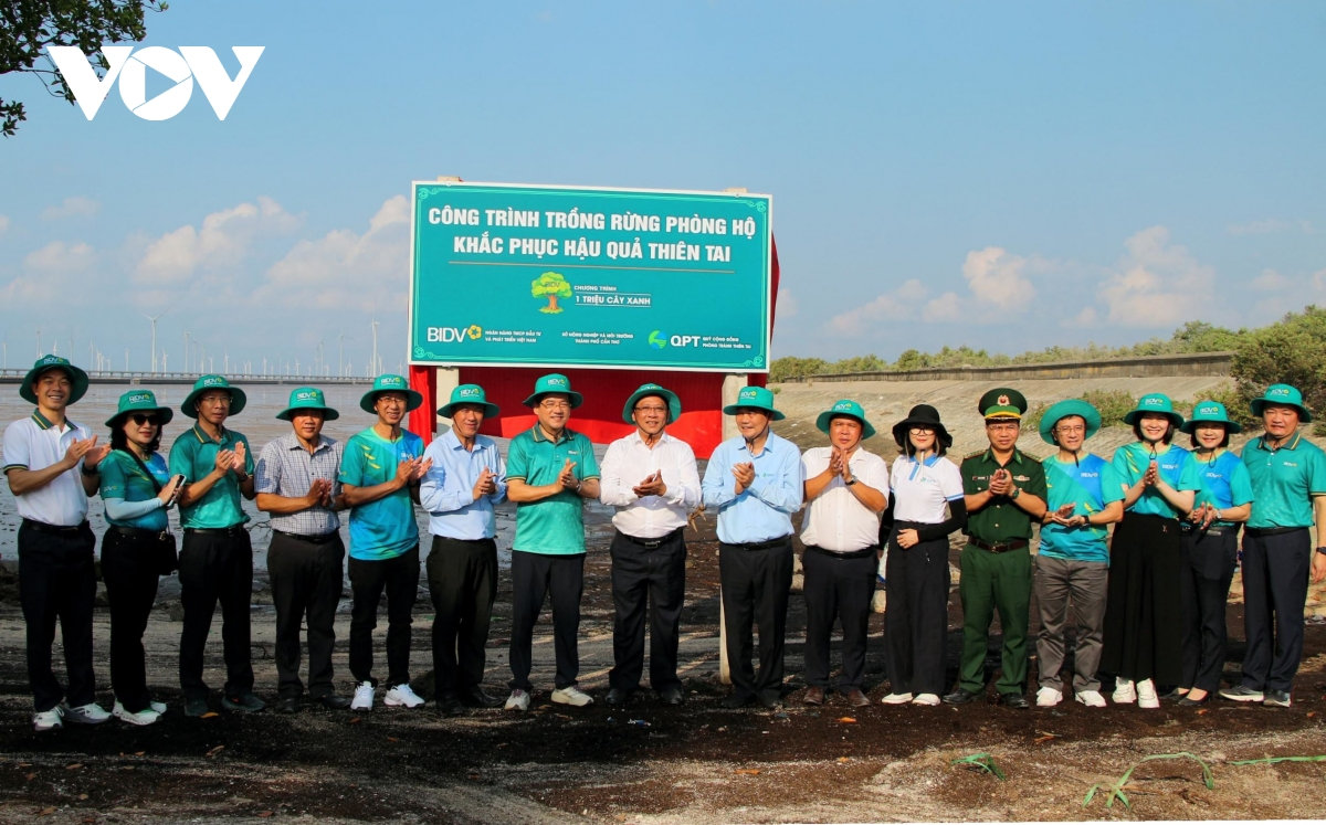 cần thơ phát động trồng 240.000 cây rừng, phục hồi hệ sinh thái ven biển hình ảnh 2 can tho phat dong trong 240.000 cay rung, phuc hoi he sinh thai ven bien hinh anh 2