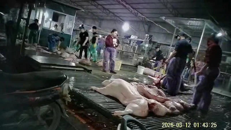 nhức nhối thực phẩm bẩn biết rồi, khổ lắm, nói mãi hình ảnh 1 nhuc nhoi thuc pham ban biet roi, kho lam, noi mai hinh anh 1