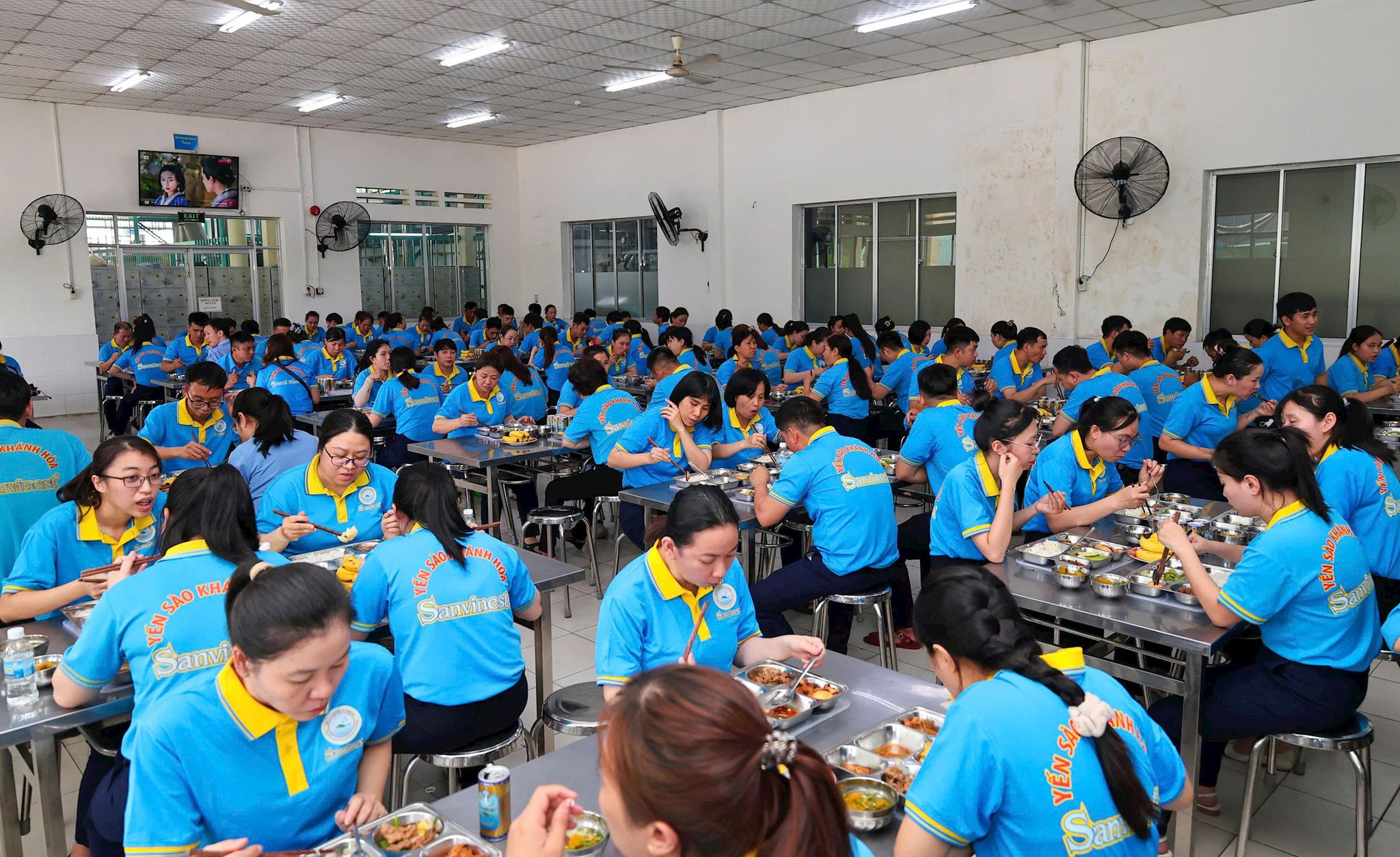 nguoi-lao-dong-lam-viec-tai-cong-ty-tnhh-nha-nuoc-mtv-yen-sao-khanh-hoa-dang-co-thu-nhap-on-dinh.jpg