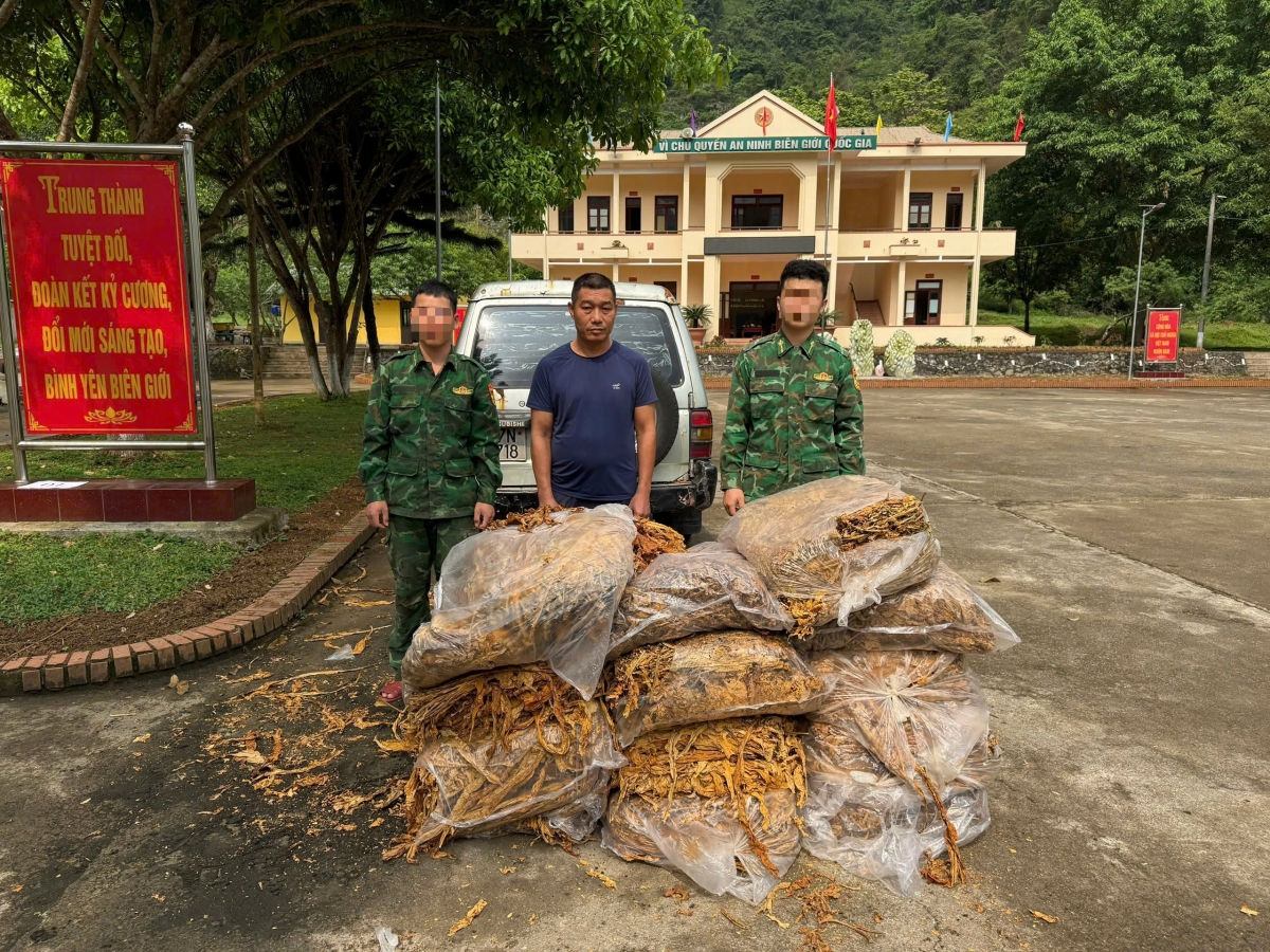 thu giu tren 600kg nguyen lieu thuoc la, tieu huy gan 500 cay thuoc phien hinh anh 1