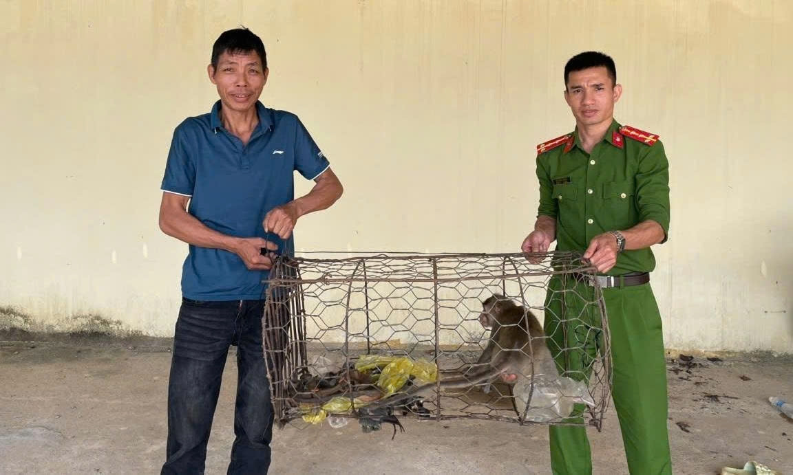 người dân lâm Đồng tự nguyện giao nộp động vật quý hiếm, thả về rừng hình ảnh 1 nguoi dan lam Dong tu nguyen giao nop dong vat quy hiem, tha ve rung hinh anh 1