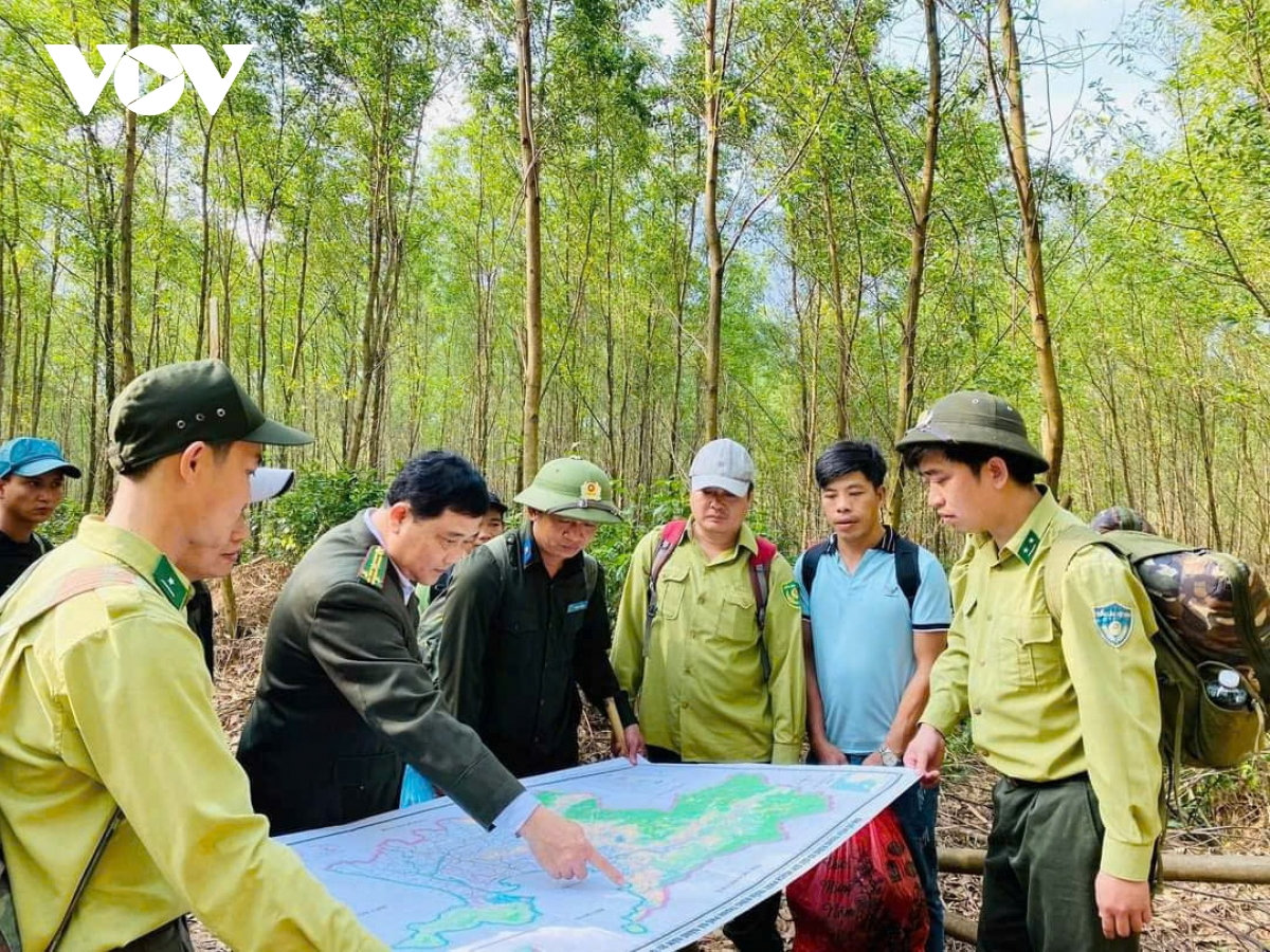 Đà nẵng nâng cao trách nhiệm, kiểm soát chặt nguy cơ cháy rừng hình ảnh 5 Da nang nang cao trach nhiem, kiem soat chat nguy co chay rung hinh anh 5