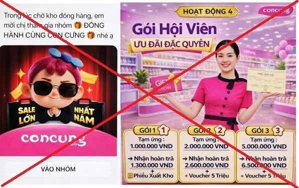 người phụ nữ bay gần 1 tỷ đồng khi bị lừa tham gia nhóm Đồng hành cùng con cưng hình ảnh 1 nguoi phu nu bay gan 1 ty dong khi bi lua tham gia nhom Dong hanh cung con cung hinh anh 1
